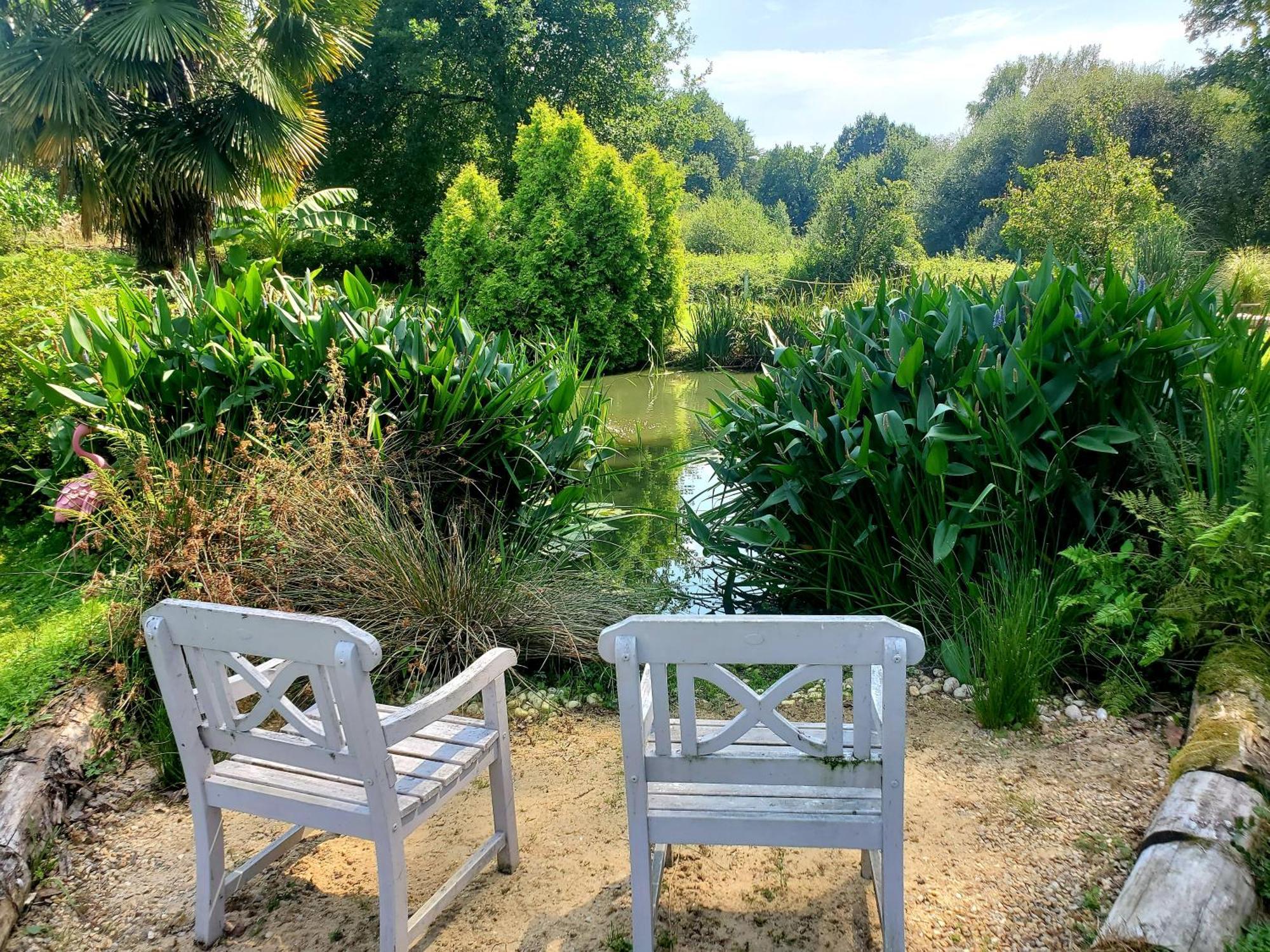 Le Vieux Moulin Gites - Detached Cottage With Garden Views And Pool Guégon エクステリア 写真
